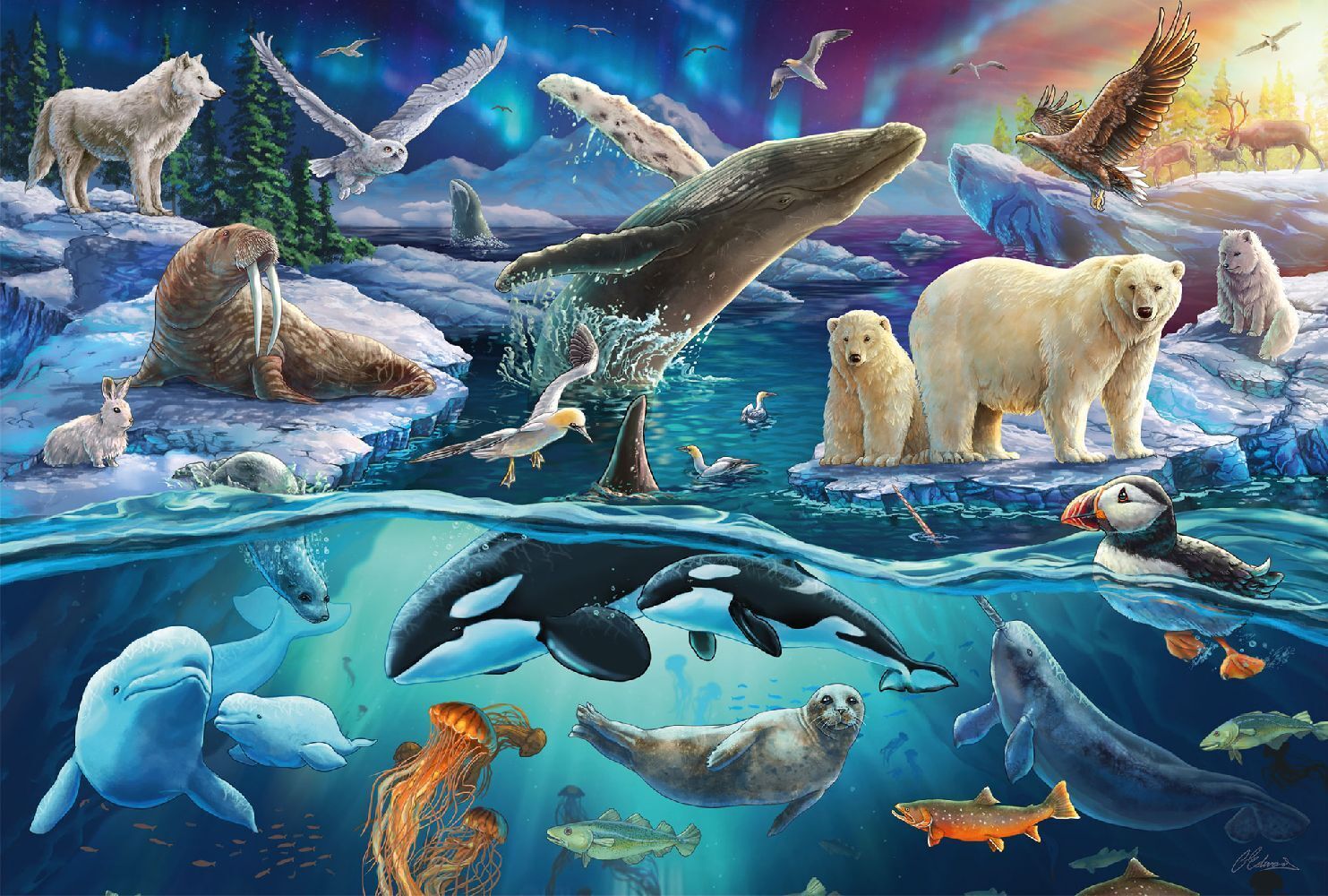 Bild: 4001504564841 | Tiere in der Arktis | Spiel | Schachtel | 56484 | Deutsch | 2024