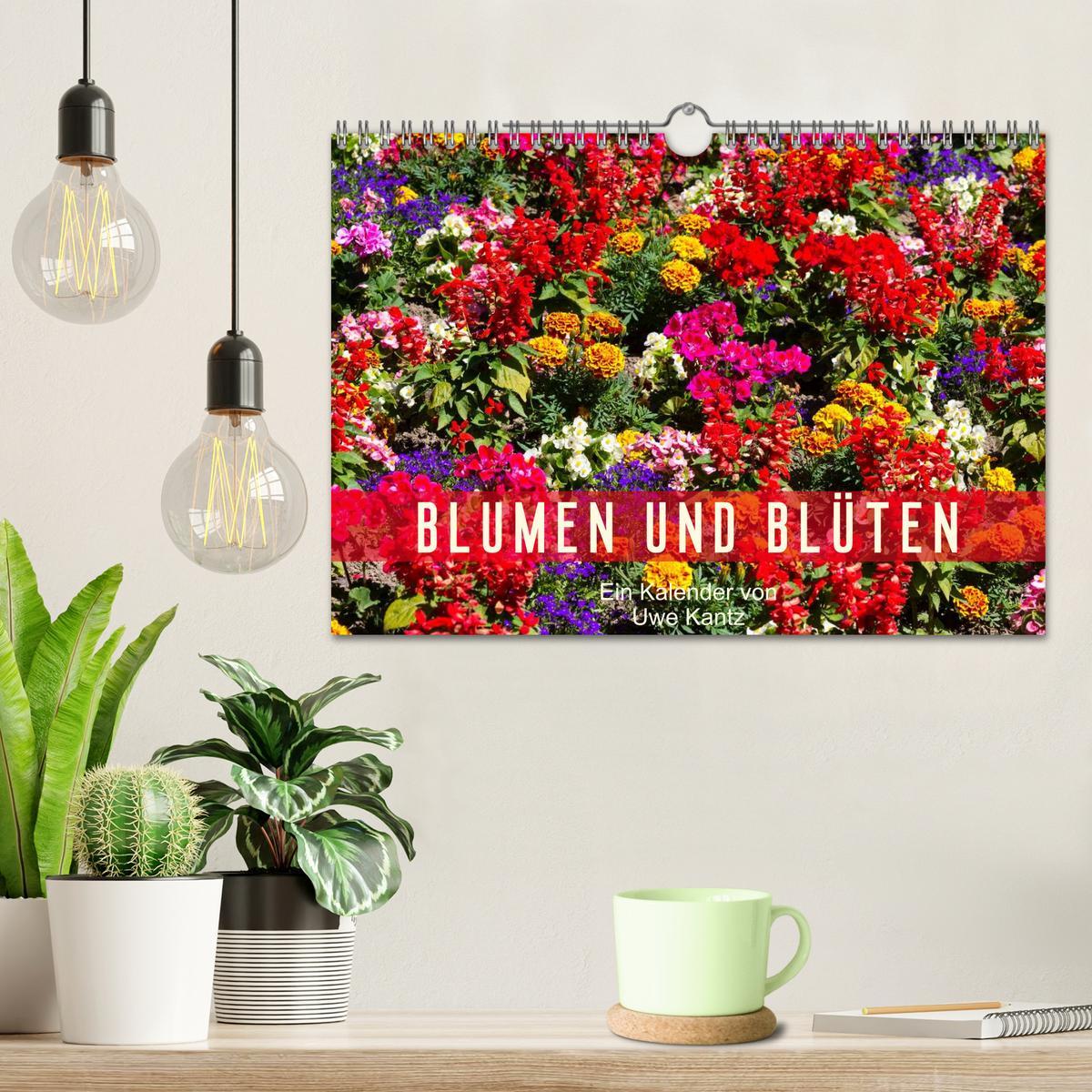 Bild: 9783435663613 | Blumen und Blüten (Wandkalender 2025 DIN A4 quer), CALVENDO...