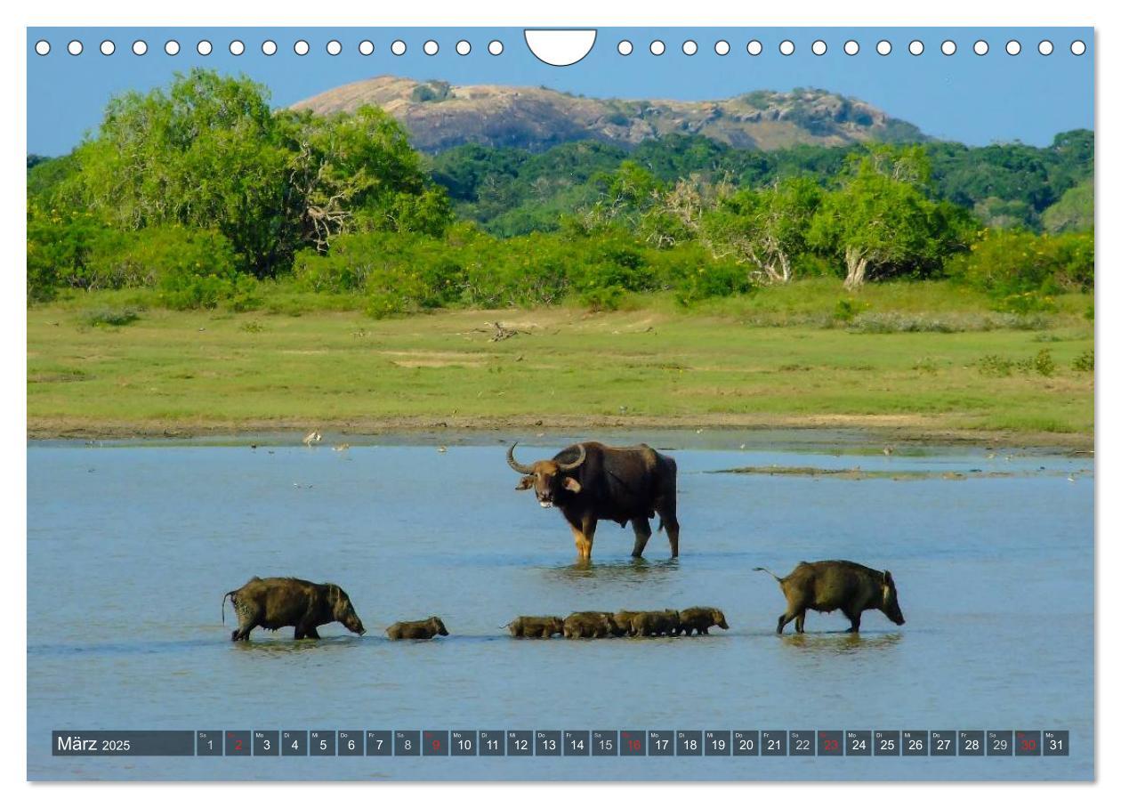 Bild: 9783435688654 | Sri Lanka - Eine Bilder-Reise (Wandkalender 2025 DIN A4 quer),...