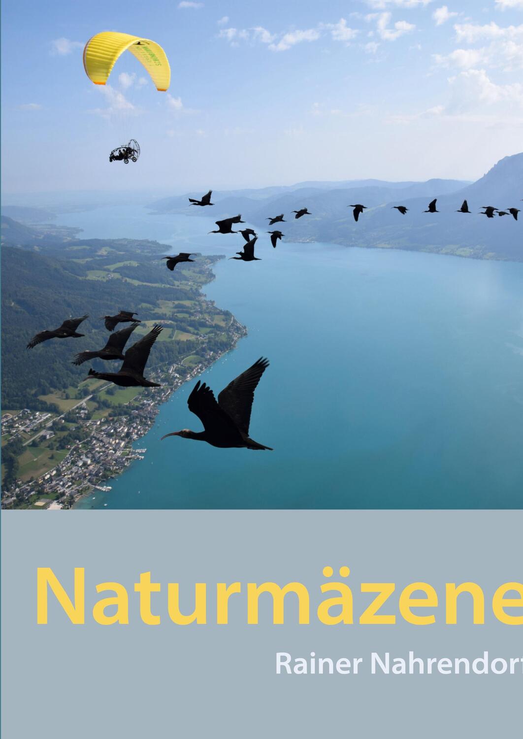 Cover: 9783384027542 | Naturmäzene | Rainer Nahrendorf | Buch | HC gerader Rücken kaschiert