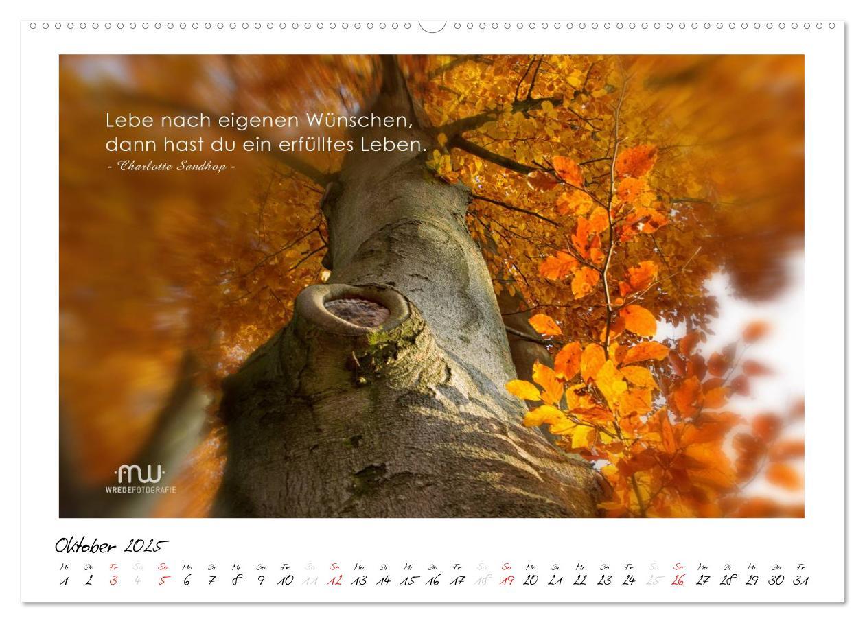 Bild: 9783435655908 | Gedanken... Bildkalender mit Sprüchen (hochwertiger Premium...