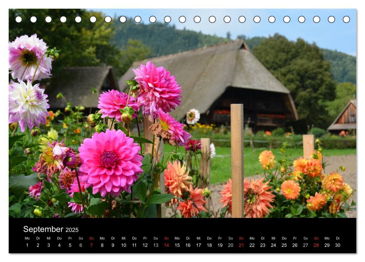 Bild: 9783435747818 | Baden-Württemberg Impressionen (Tischkalender 2025 DIN A5 quer),...