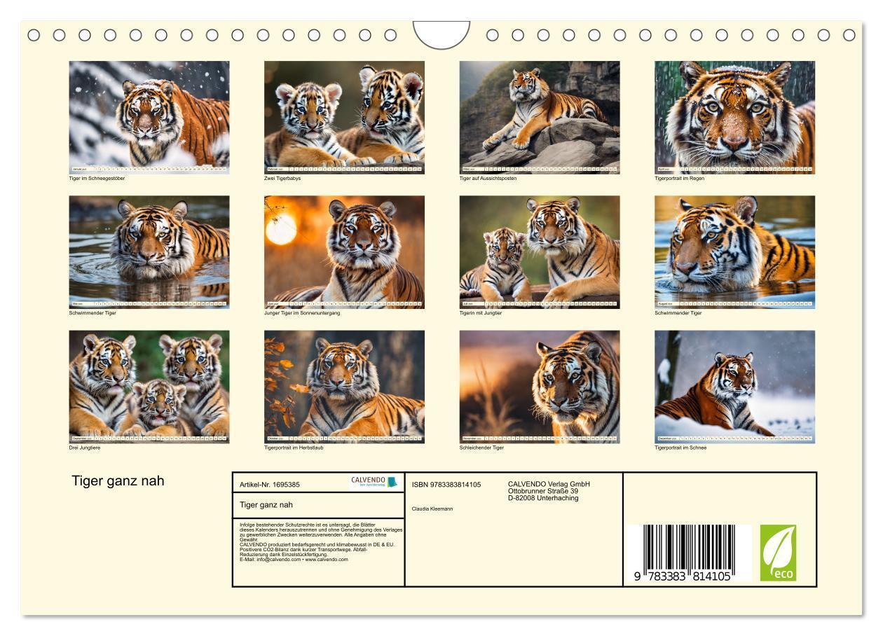 Bild: 9783383814105 | Tiger ganz nah (Wandkalender 2025 DIN A4 quer), CALVENDO...