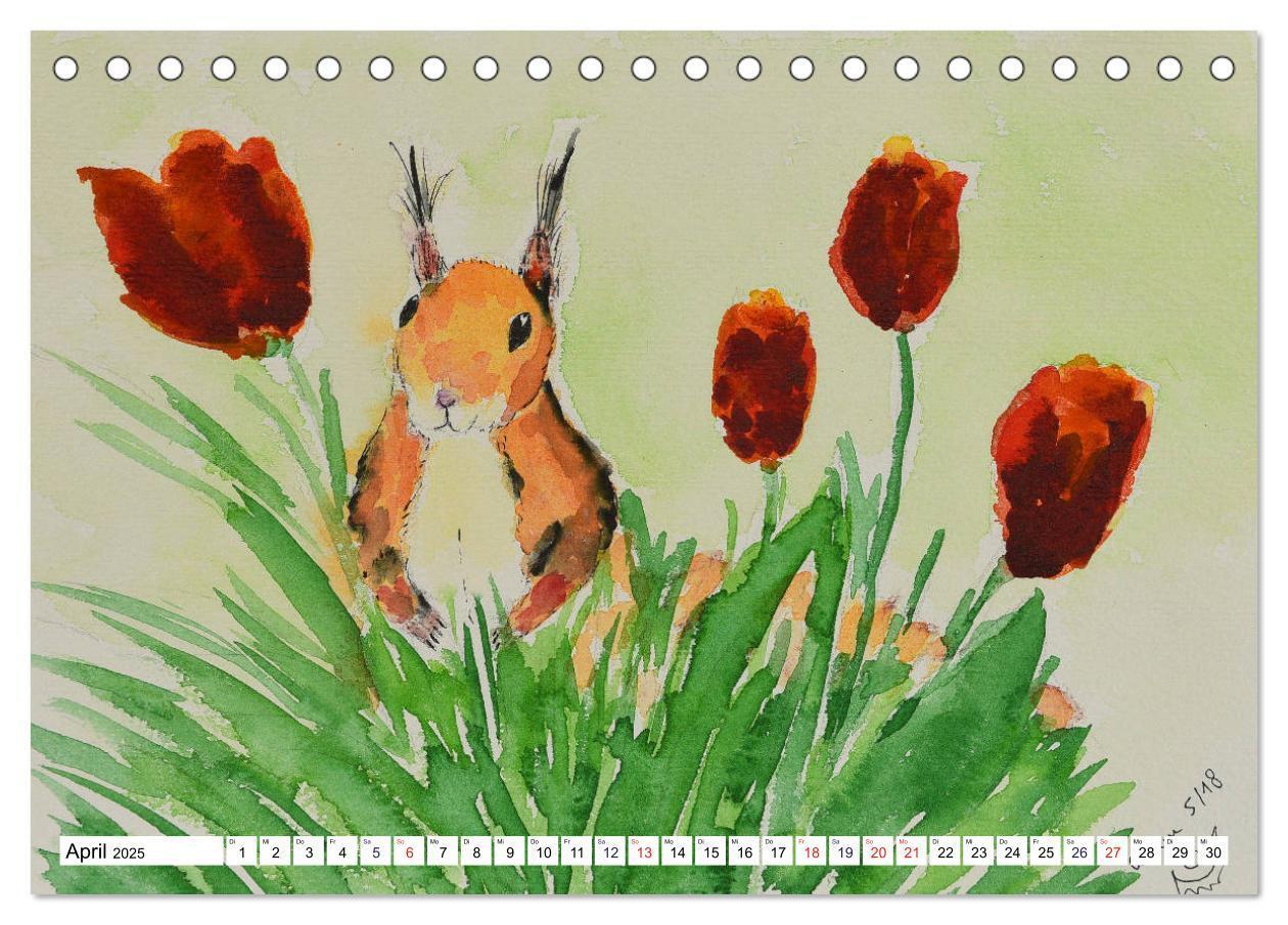 Bild: 9783435404124 | Eichhörnchen in Aquarell (Tischkalender 2025 DIN A5 quer), CALVENDO...