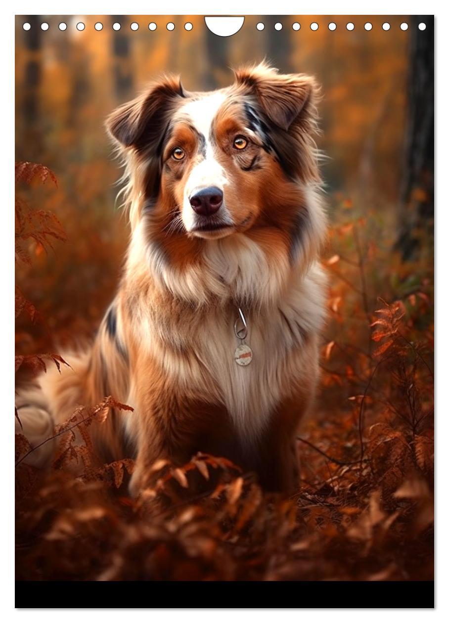 Bild: 9783435872602 | Australian Shepherd (Wandkalender 2025 DIN A4 hoch), CALVENDO...