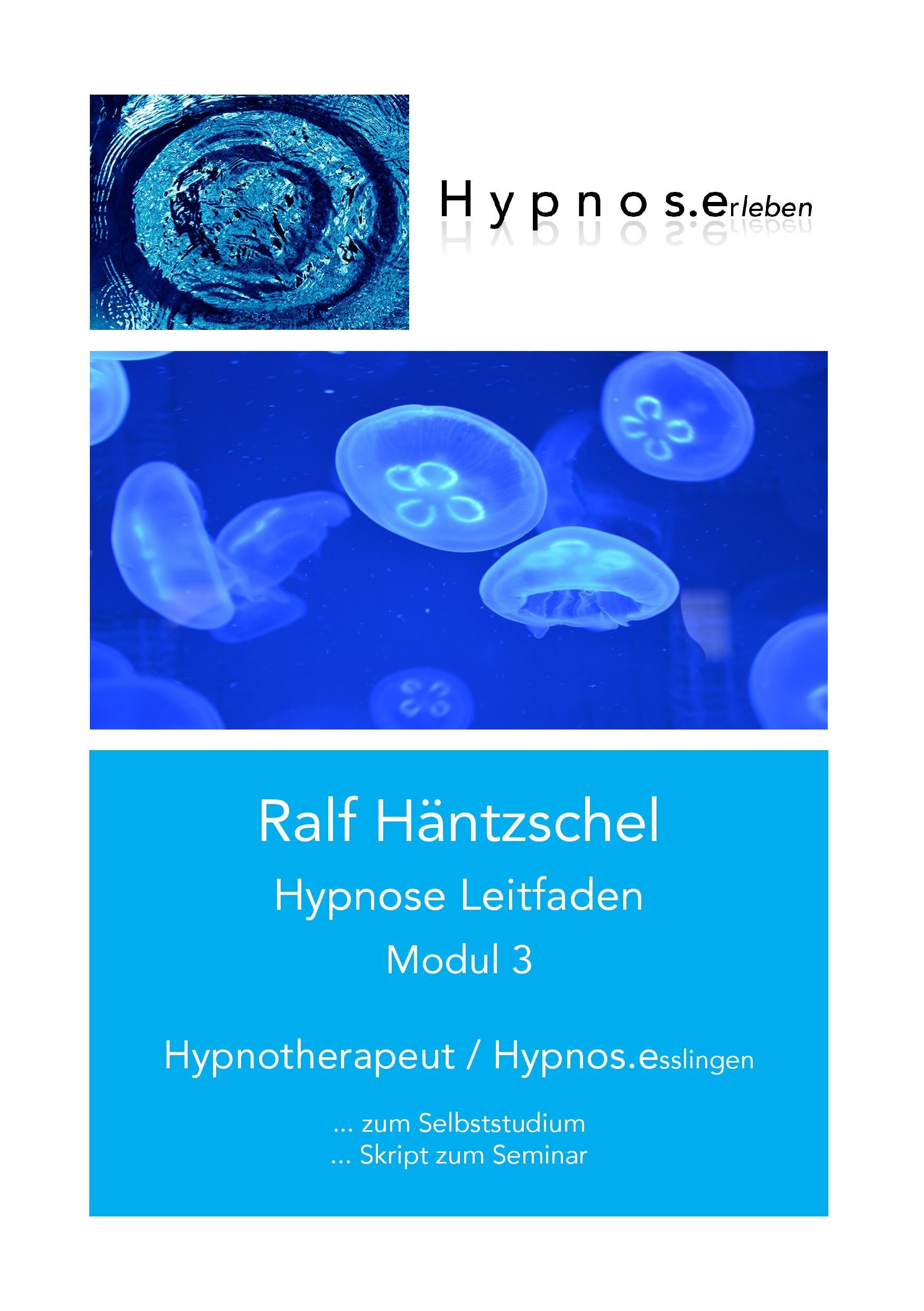 Cover: 9783744841016 | Hypnose Leitfaden Modul 3 | Hypnotherapeut - Hypnos.esslingen | Buch