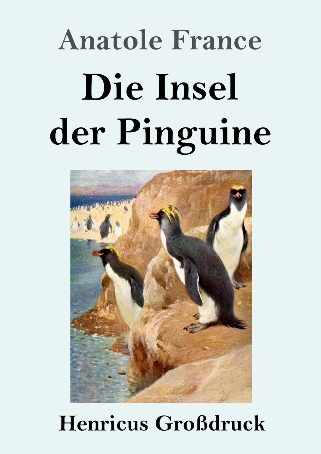 Cover: 9783847846864 | Die Insel der Pinguine (Großdruck) | Anatole France | Taschenbuch