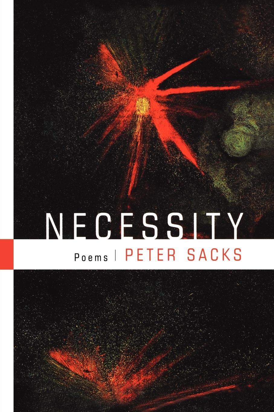 Cover: 9780393325041 | Necessity | Peter Sacks | Taschenbuch | Paperback | Englisch | 2003