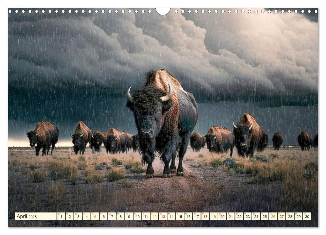 Bild: 9783383911859 | Amerikanischer Bison (Wandkalender 2025 DIN A3 quer), CALVENDO...