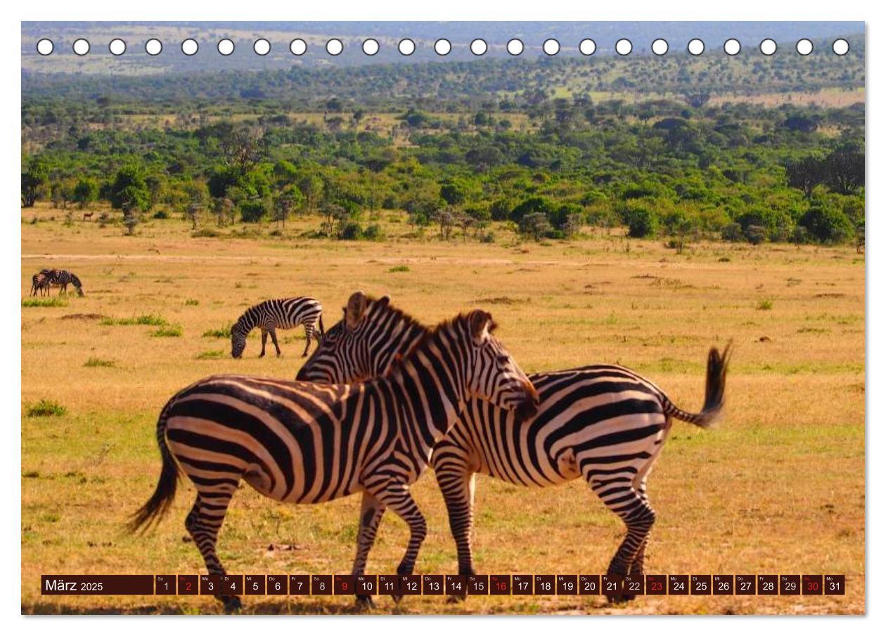 Bild: 9783435742295 | Afrika. Zauber des schwarzen Kontinents (Tischkalender 2025 DIN A5...