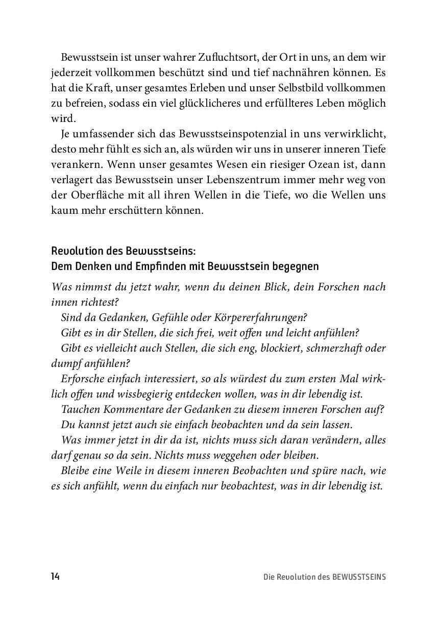 Bild: 9783866165366 | Die Revolution des Bewusstseins | Daniel Hess | Taschenbuch | 320 S.