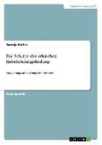 Cover: 9783656467151 | Die Schritte der ethischen Entscheidungsfindung | Swenja Rolfes | Buch