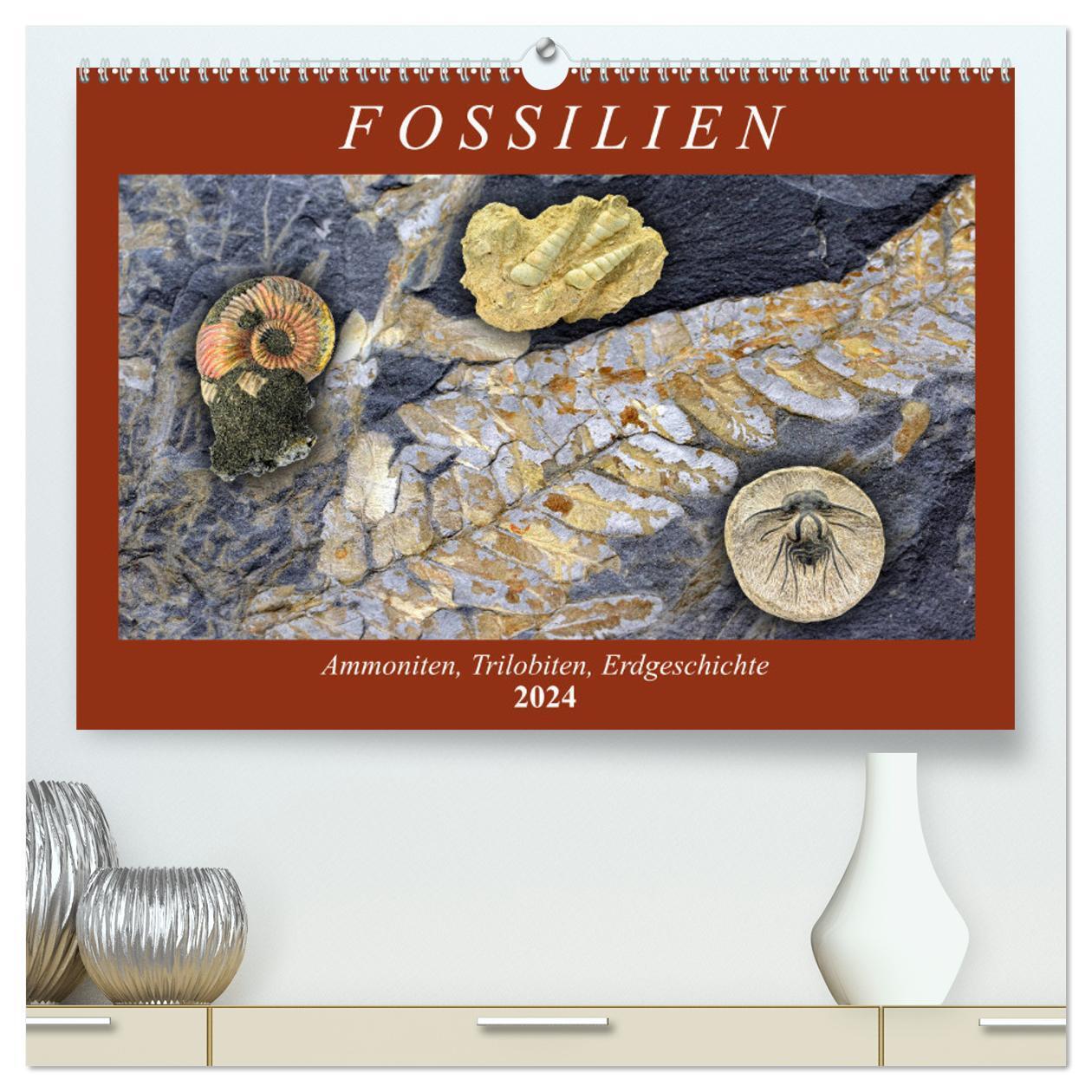 Cover: 9783675451452 | Fossilien - Ammoniten, Trilobiten, Erdgeschichte (hochwertiger...