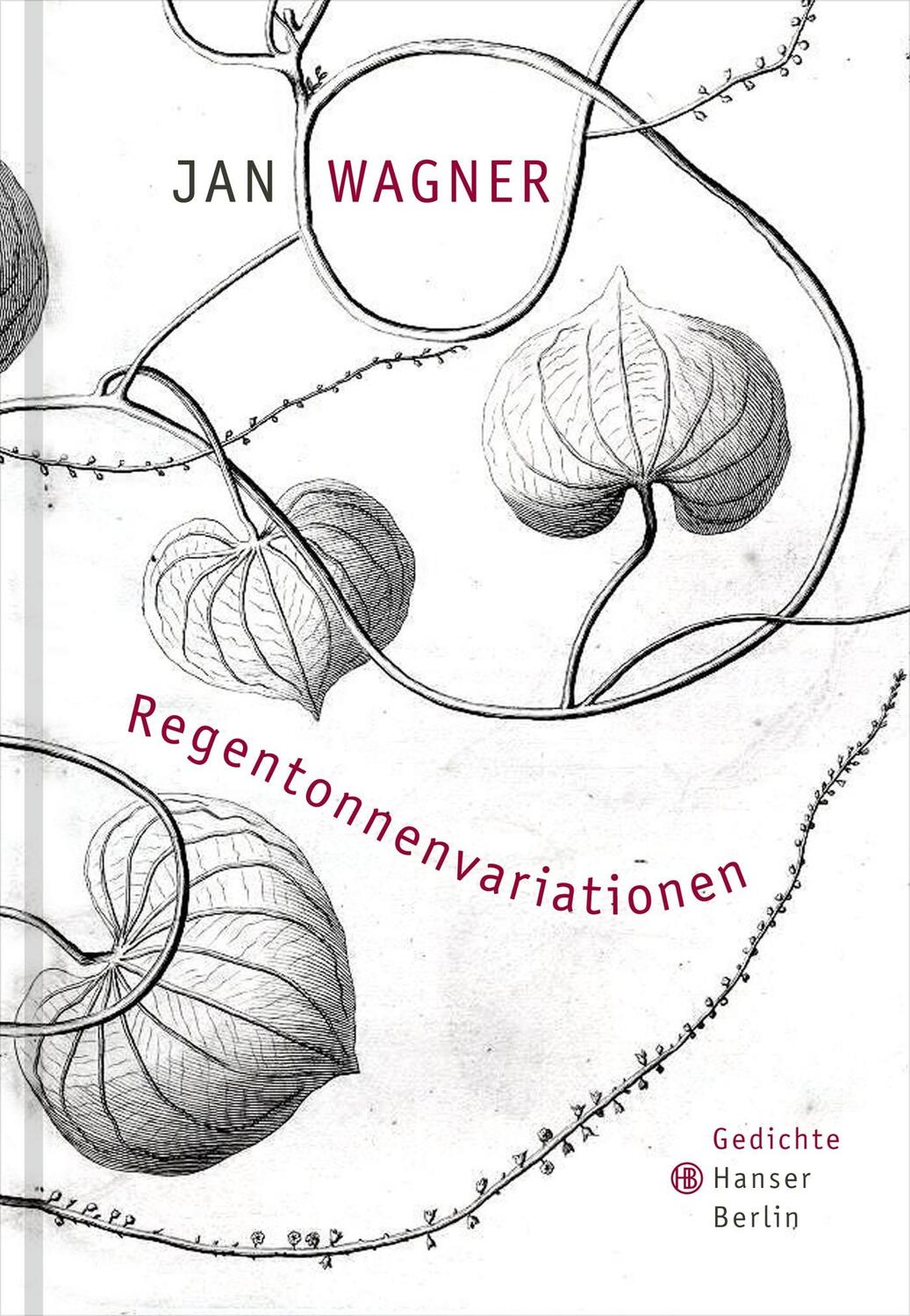 Cover: 9783446246461 | Regentonnenvariationen | Jan Wagner | Buch | Deutsch | 2014