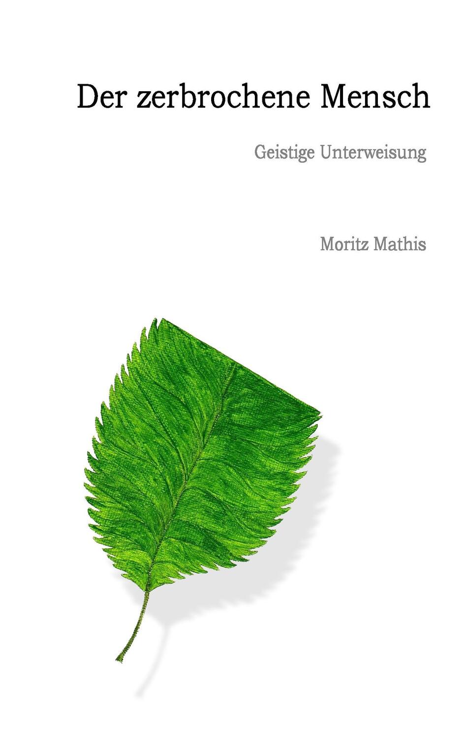 Cover: 9783839161678 | Der zerbrochene Mensch | Geistige Unterweisung | Moritz Mathis | Buch