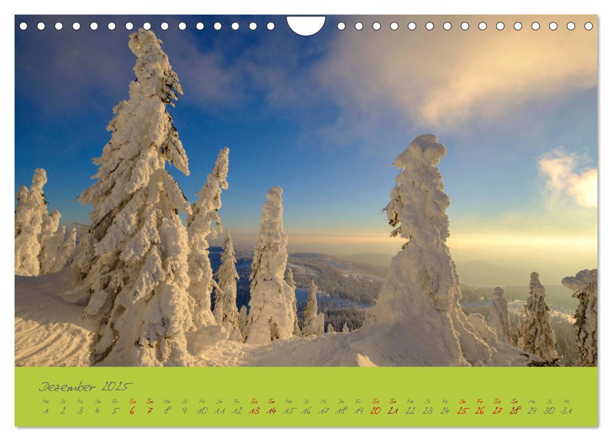 Bild: 9783435194247 | Der Bayerische Wald (Wandkalender 2025 DIN A4 quer), CALVENDO...