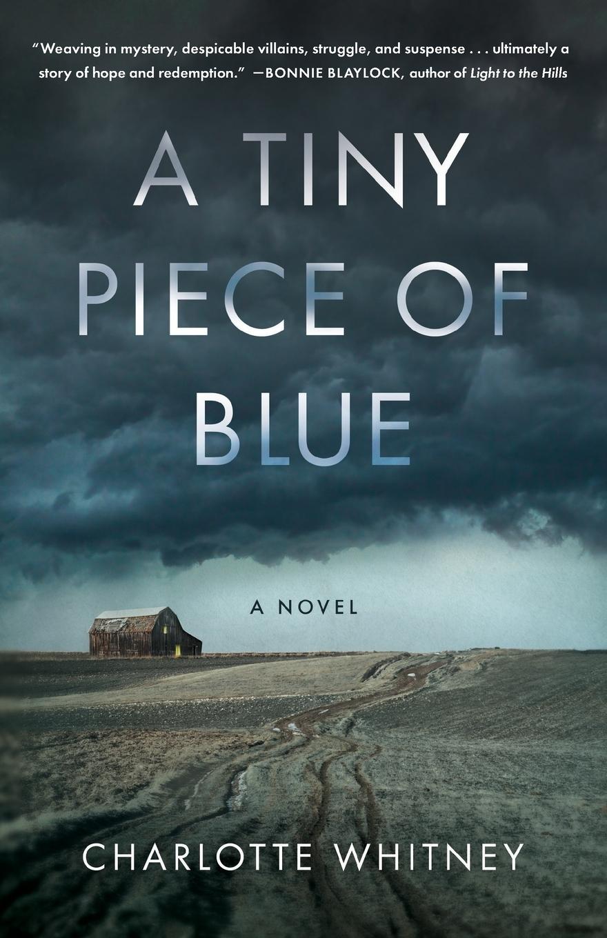 Cover: 9781647428365 | Tiny Piece of Blue | Charlotte Whitney | Taschenbuch | Englisch | 2025