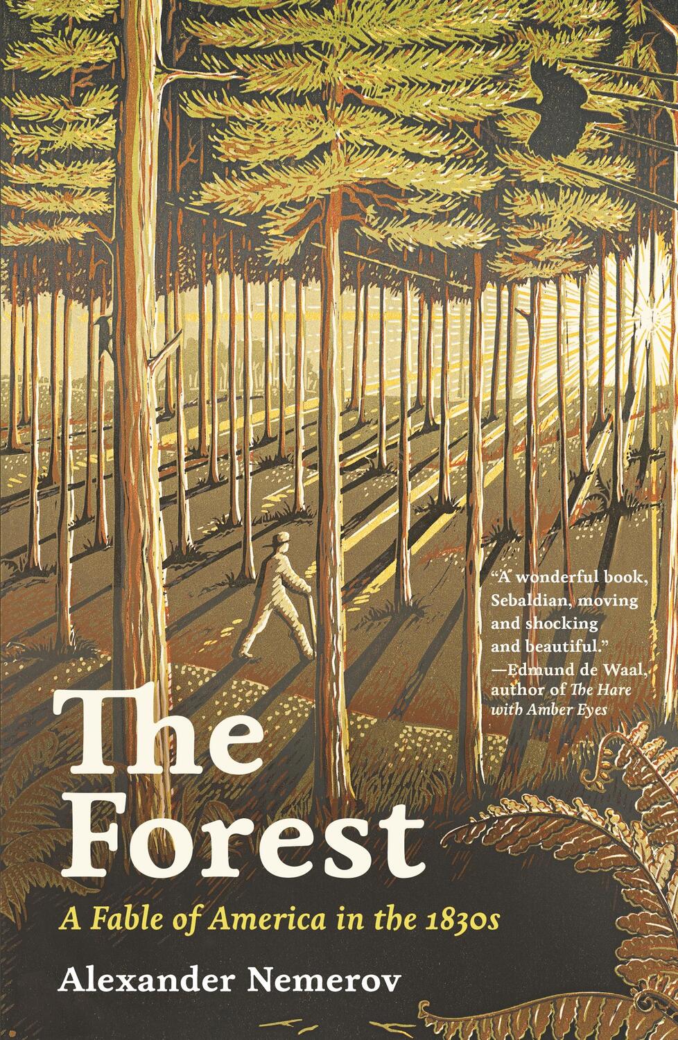 Cover: 9780691244280 | The Forest | A Fable of America in the 1830s | Alexander Nemerov