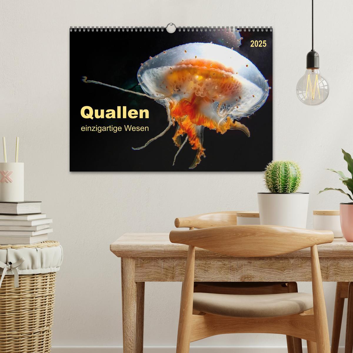 Bild: 9783435584833 | Quallen - einzigartige Wesen (Wandkalender 2025 DIN A3 quer),...