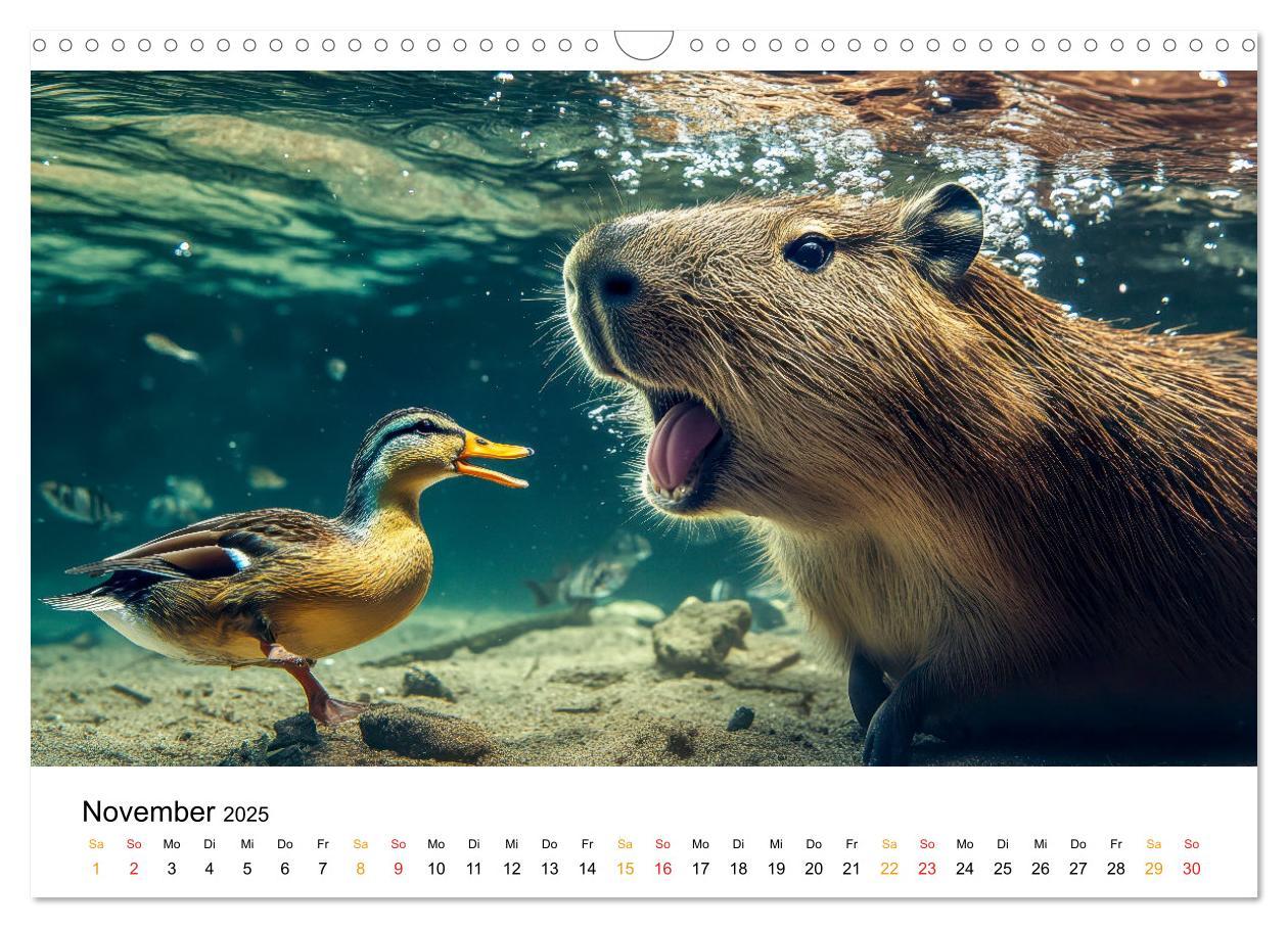 Bild: 9783457244593 | Capybara - liebenswertes großes Wasserschwein (Wandkalender 2025...