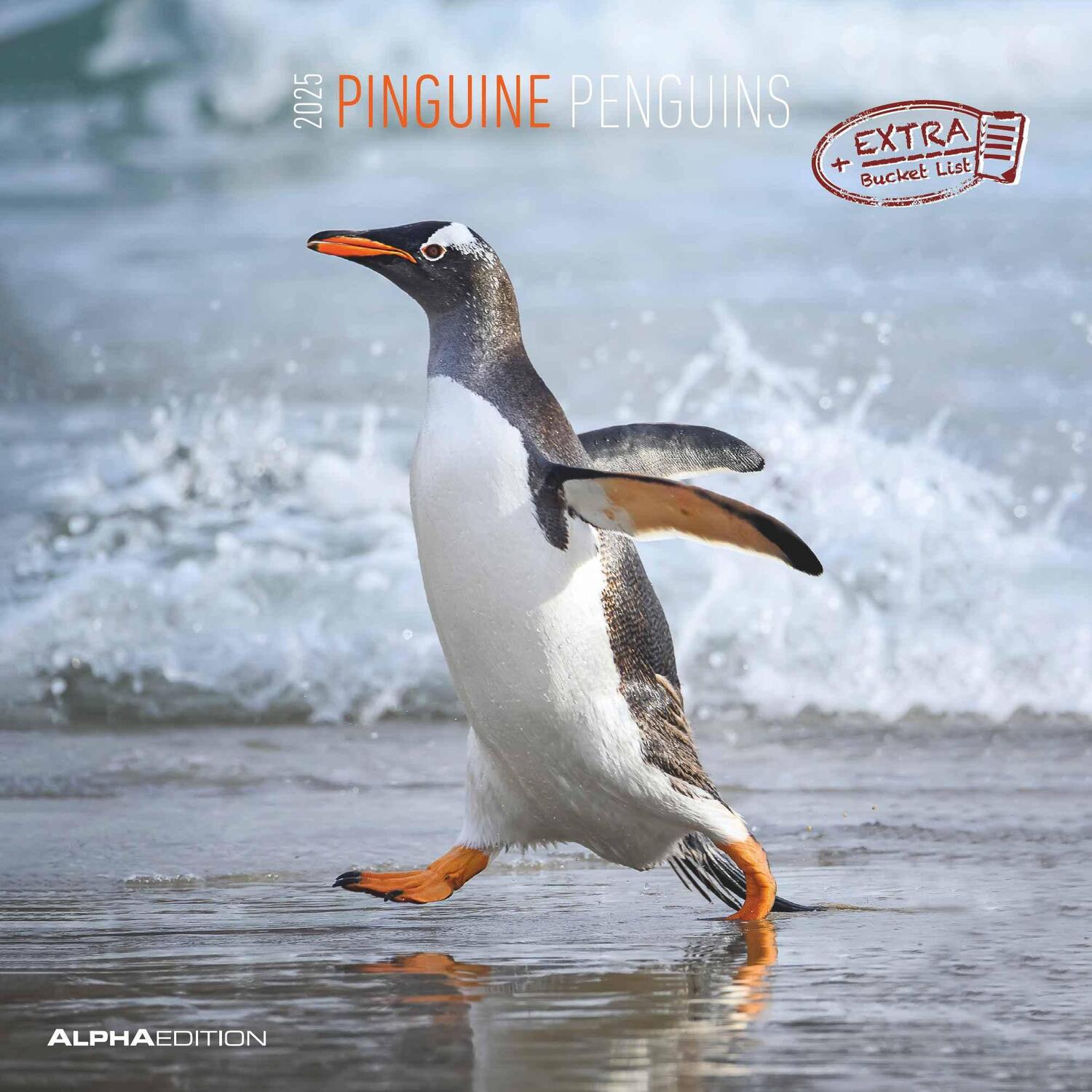 Cover: 4251732343101 | Pinguine 2025 - Broschürenkalender 30x30 cm (30x60 geöffnet) -...