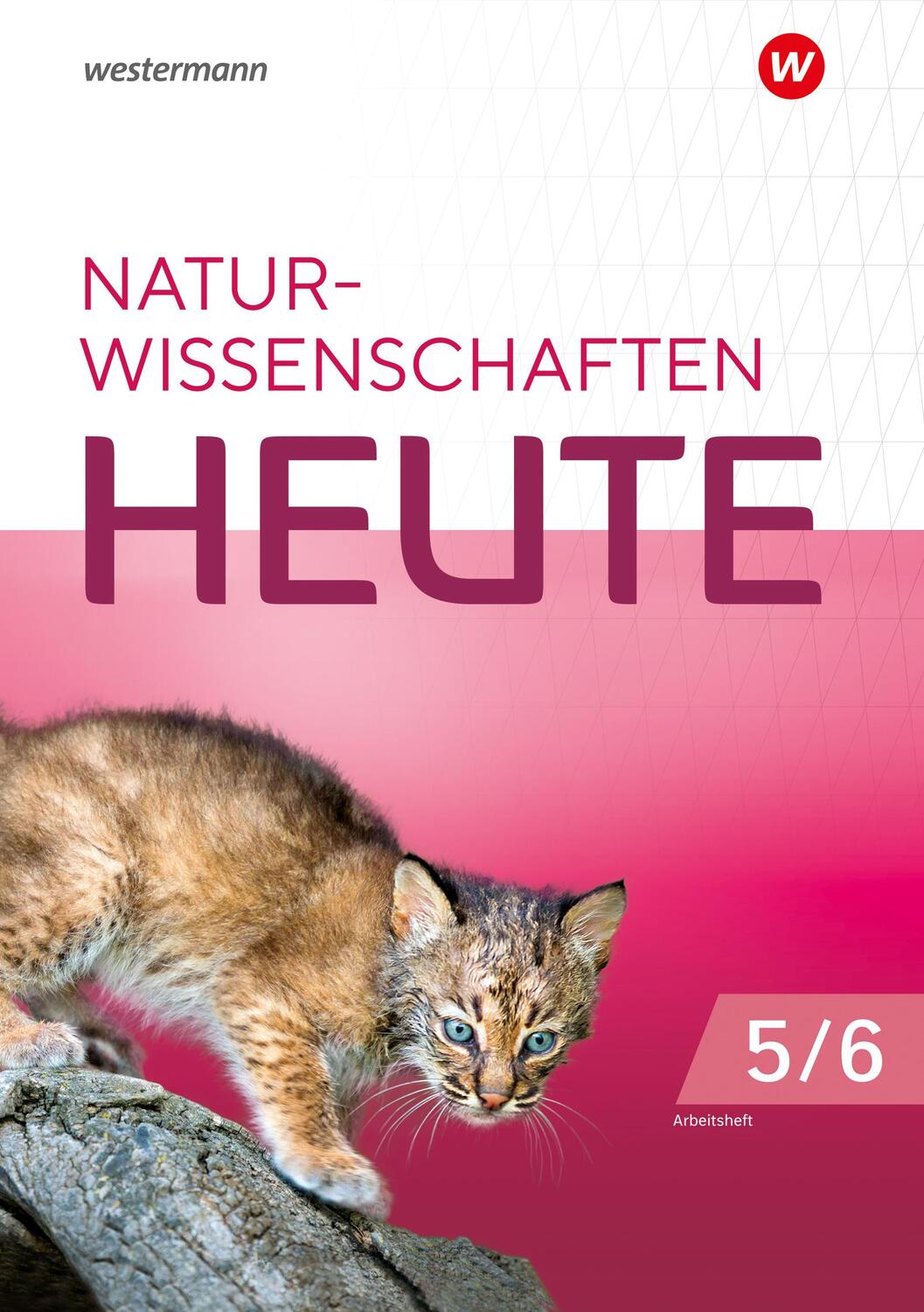Cover: 9783141519846 | Biologie heute 5/6. Arbeitsheft. Für die Grundschule in Berlin und...