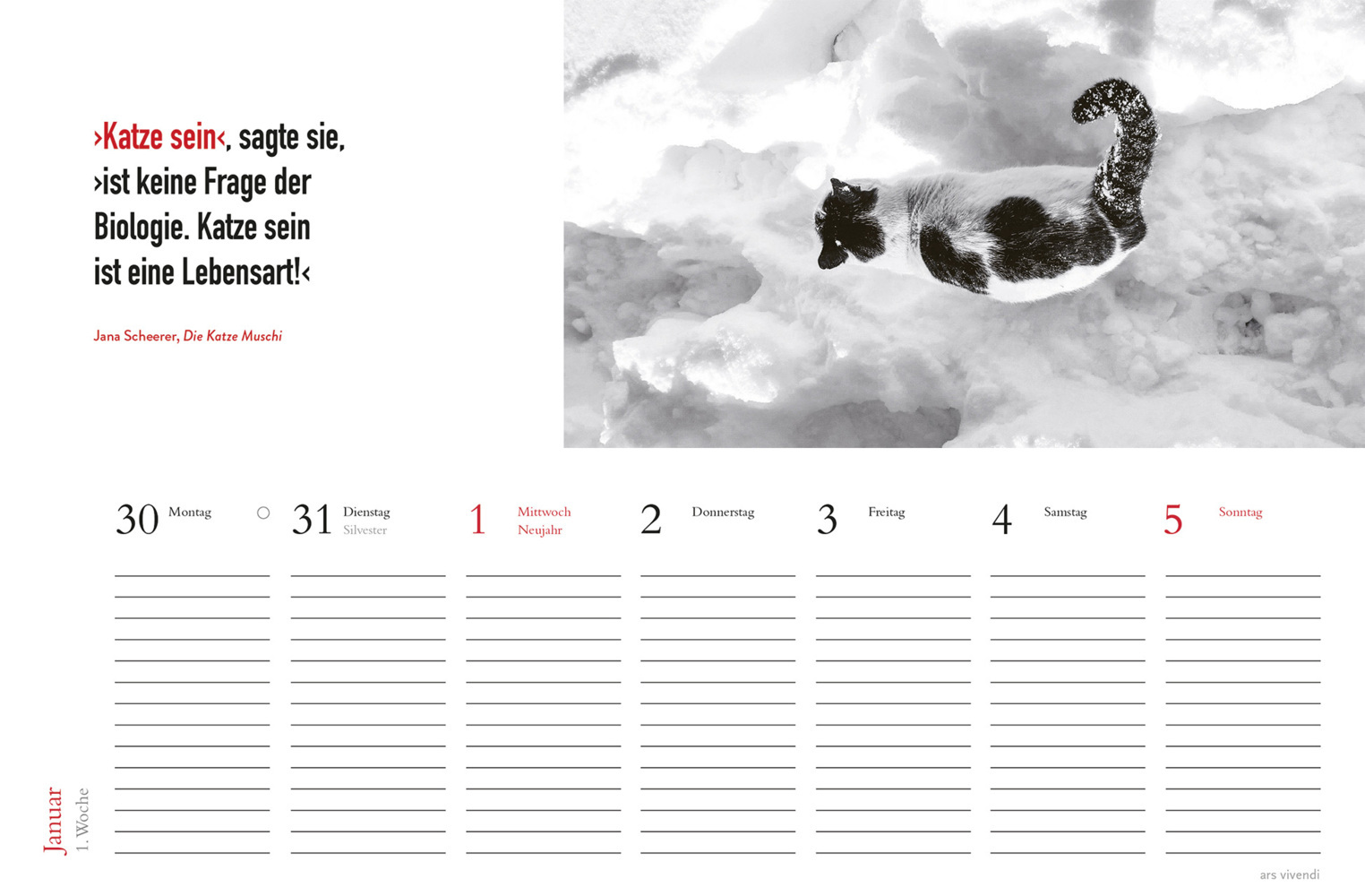 Bild: 9783747205716 | Tischkalender Katzen 2025 | Tischkalender | Kalender | 53 S. | Deutsch