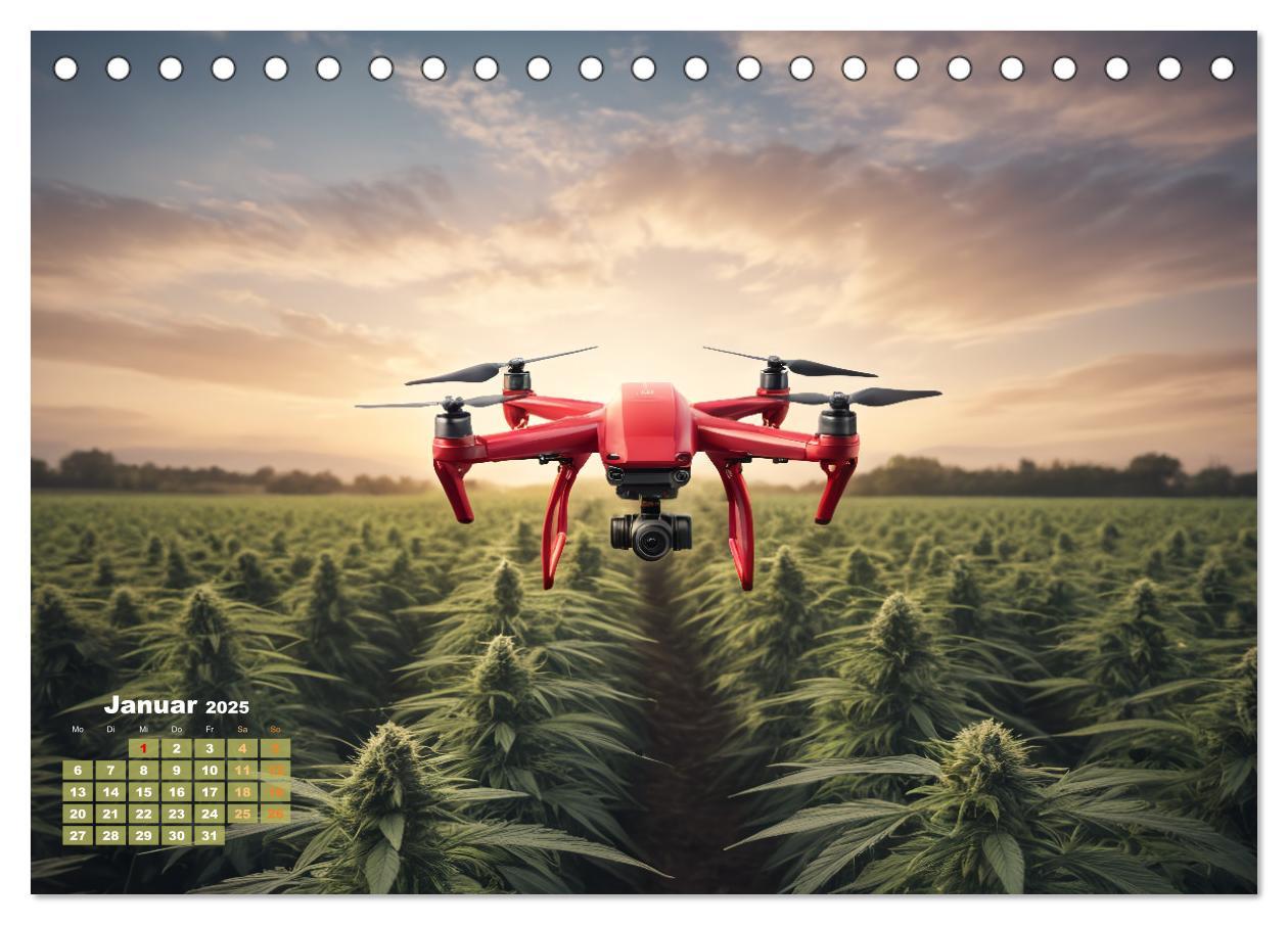 Bild: 9783383807282 | Wunderschöne Cannabisfelder (Tischkalender 2025 DIN A5 quer),...