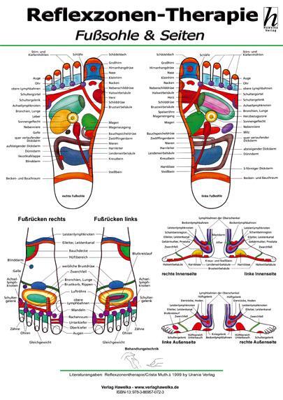 Cover: 9783869570778 | Reflexzonen-Therapie Mini-Poster - Fußsohle &amp; Seiten DIN A4 | Poster