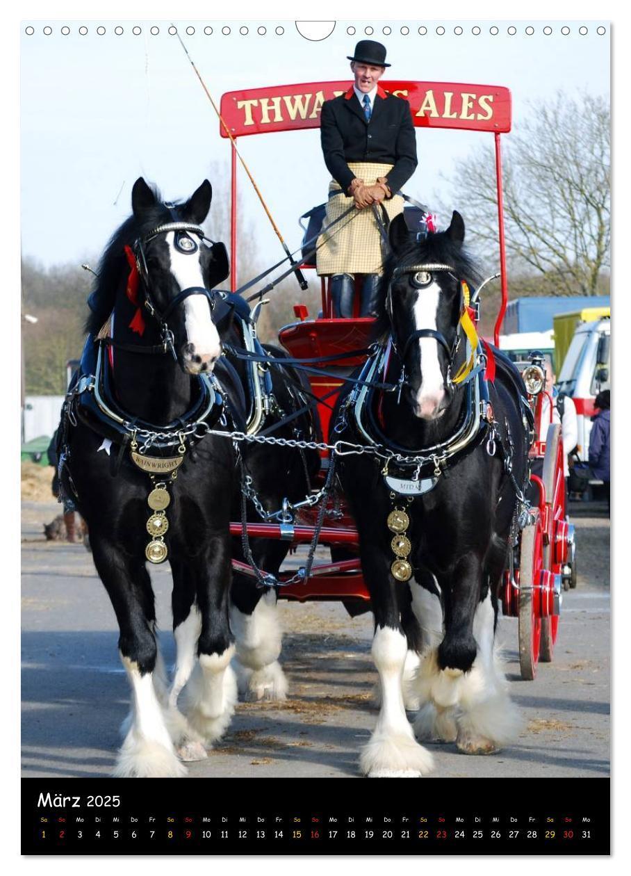 Bild: 9783457069646 | Shire Horse - Geschmückte Riesen (Wandkalender 2025 DIN A3 hoch),...