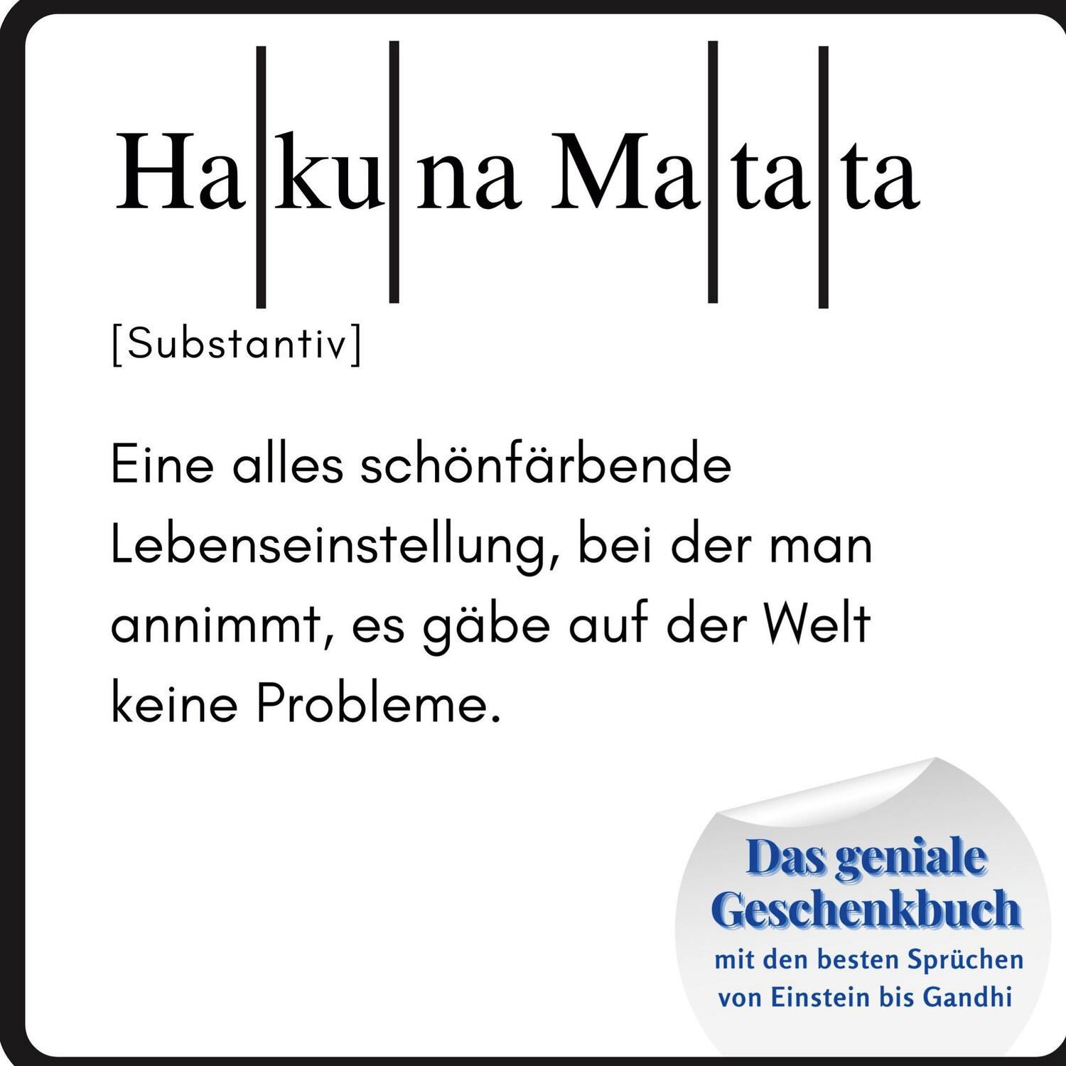 Cover: 9783750516861 | Hakuna Matata | Steffi Meier | Taschenbuch | Paperback | Deutsch