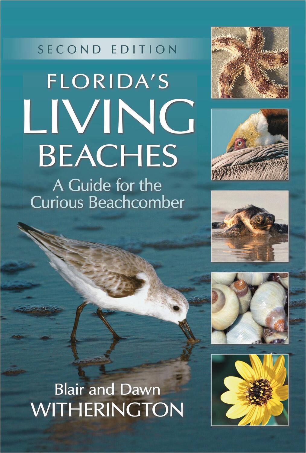 Cover: 9781561649815 | Florida's Living Beaches | A Guide for the Curious Beachcomber | Buch