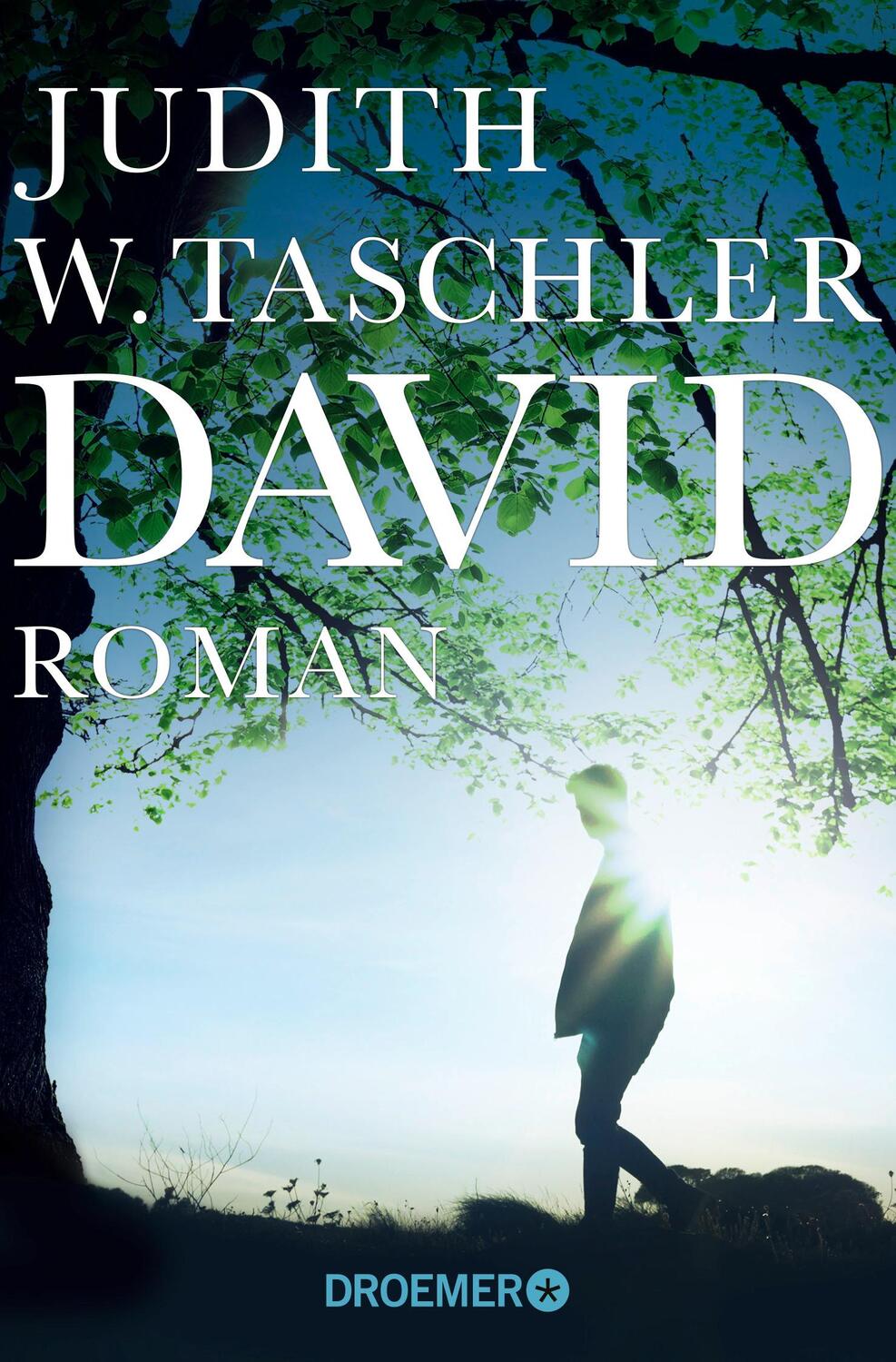 Cover: 9783426304808 | David | Roman | Judith W. Taschler | Taschenbuch | Deutsch | 2018