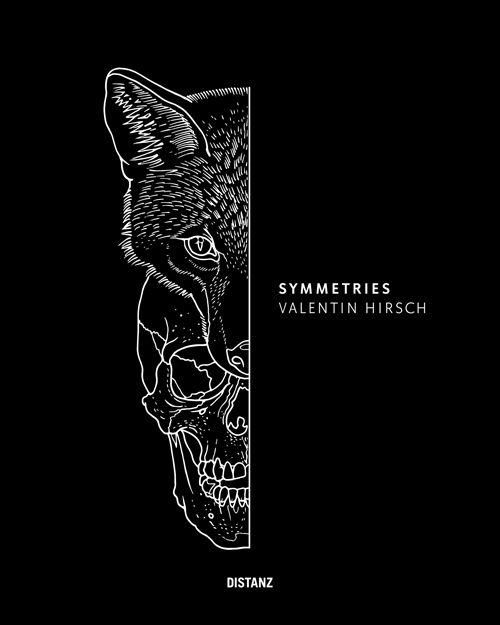 Cover: 9783954761036 | Symmetries | Valentin Hirsch | Buch | Deutsch | 2015 | Distanz Verlag