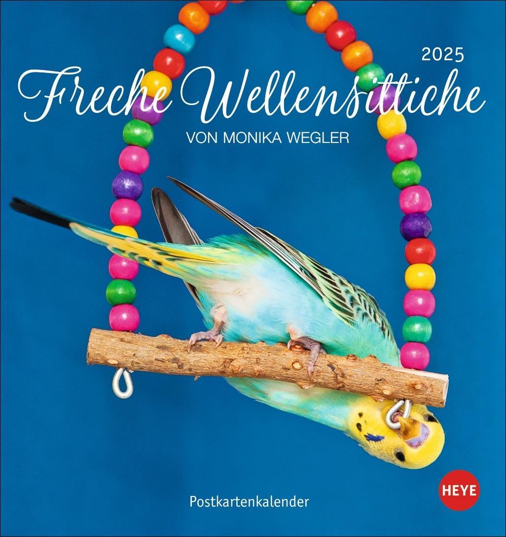 Cover: 9783756407095 | Freche Wellensittiche Postkartenkalender 2025 | Kalender | 13 S.