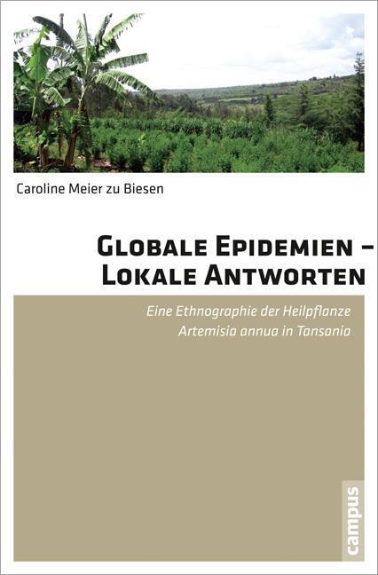 Cover: 9783593399621 | Globale Epidemien - Lokale Antworten | Caroline Meier zu Biesen | Buch