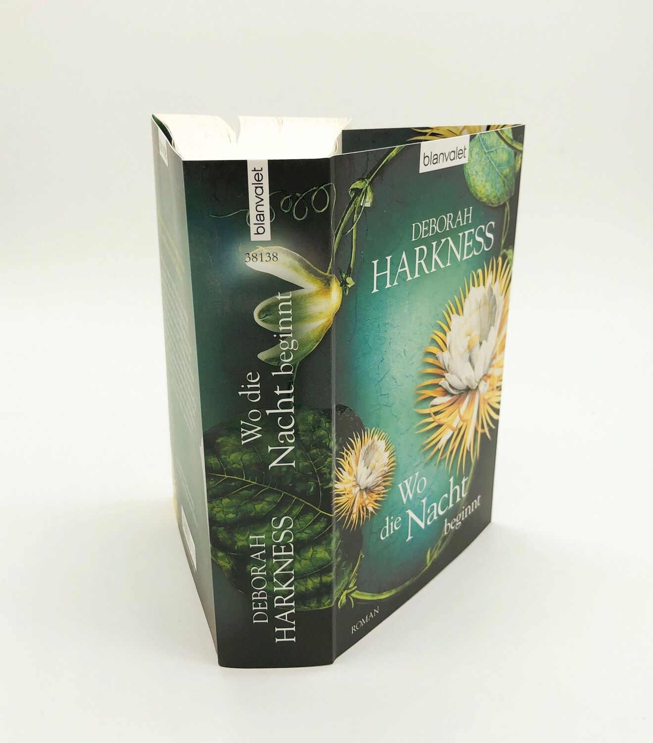 Bild: 9783442381388 | Wo die Nacht beginnt | Deborah Harkness | Taschenbuch | 796 S. | 2014