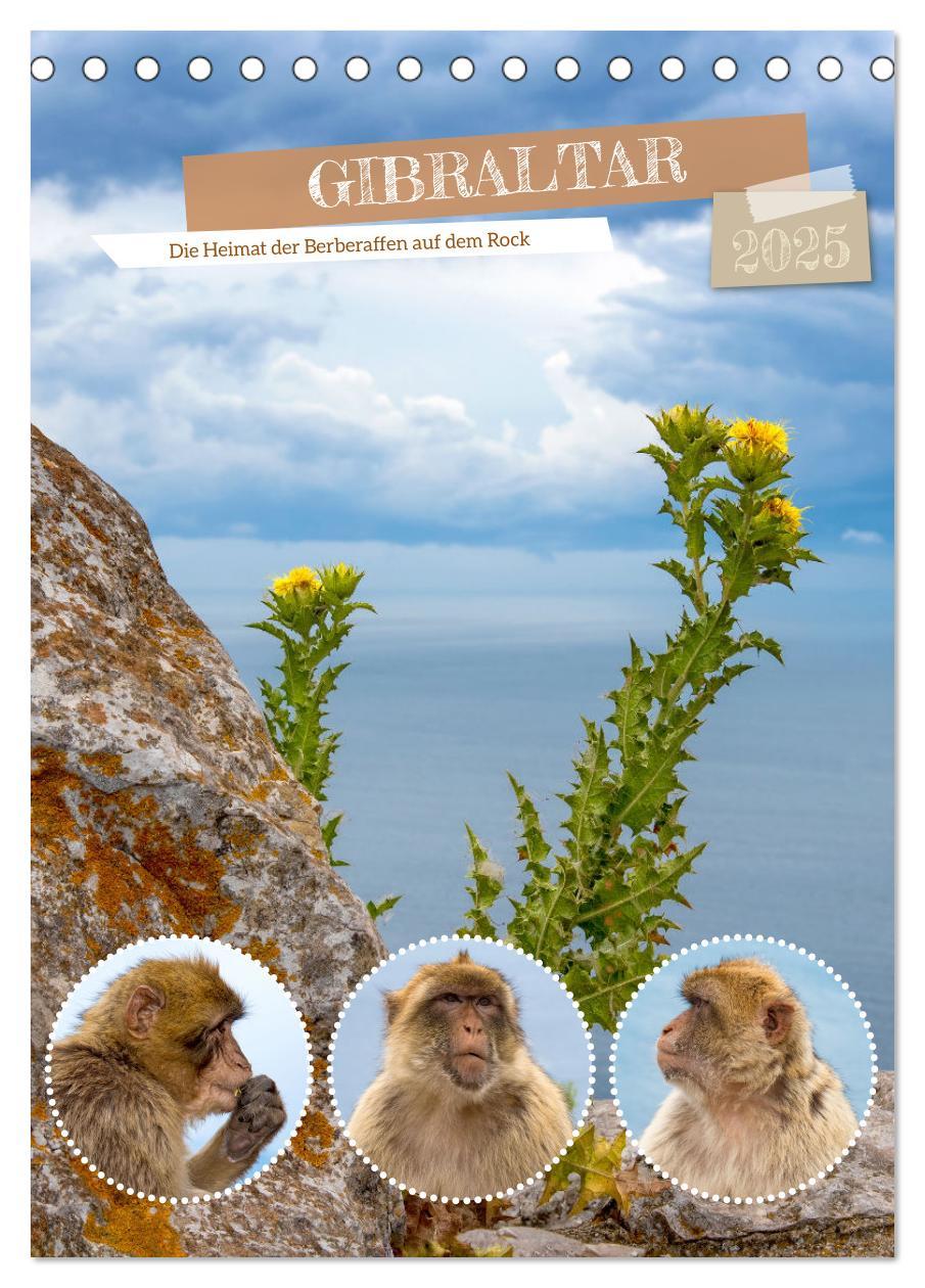 Cover: 9783383781292 | Gibraltar - Die Heimat der Berberaffen auf dem Rock (Tischkalender...