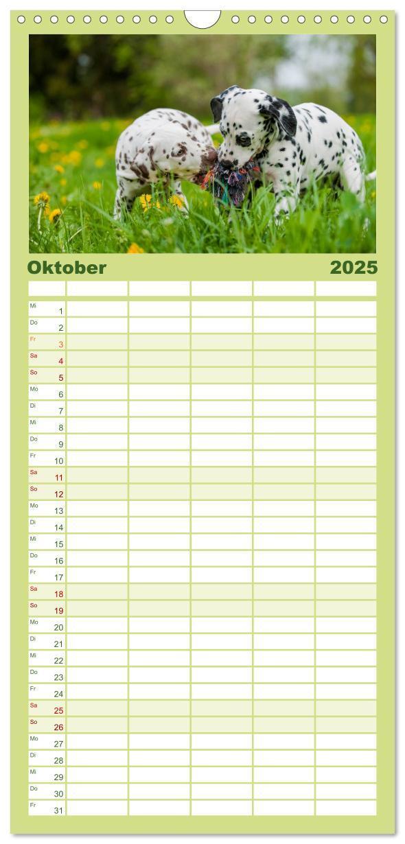 Bild: 9783457113578 | Familienplaner 2025 - Dalmatiner mit 5 Spalten (Wandkalender, 21 x...