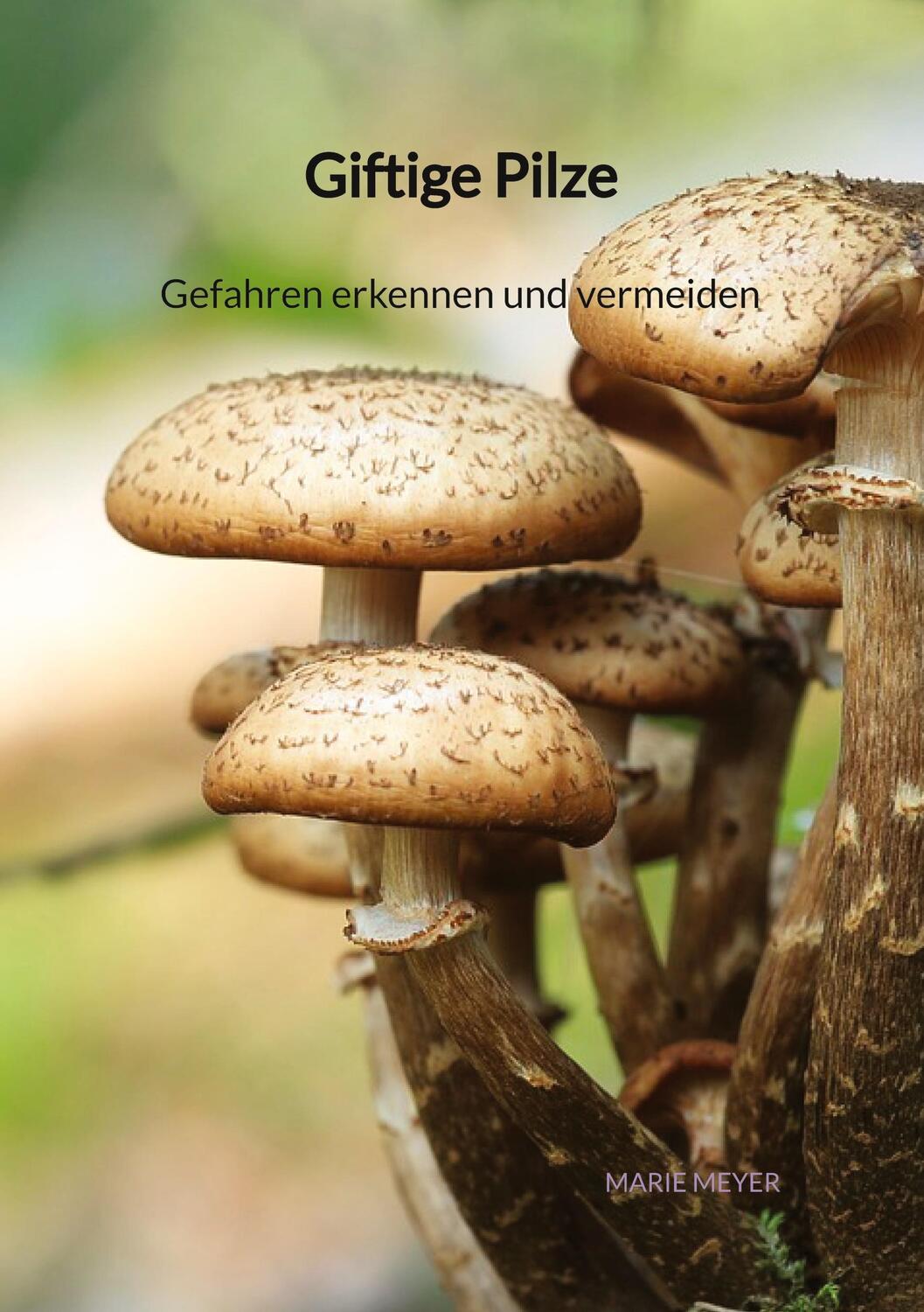 Cover: 9783347901742 | Giftige Pilze - Gefahren erkennen und vermeiden | Marie Meyer | Buch