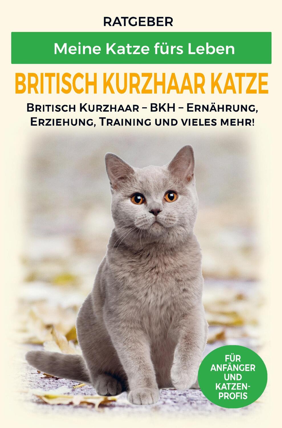 Cover: 9789403622033 | Britisch Kurzhaar Katze | Meine Katze fürs Leben Ratgeber | Buch