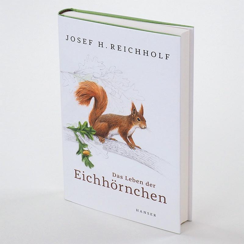 Bild: 9783446264076 | Das Leben der Eichhörnchen | Josef H. Reichholf | Buch | 176 S. | 2019