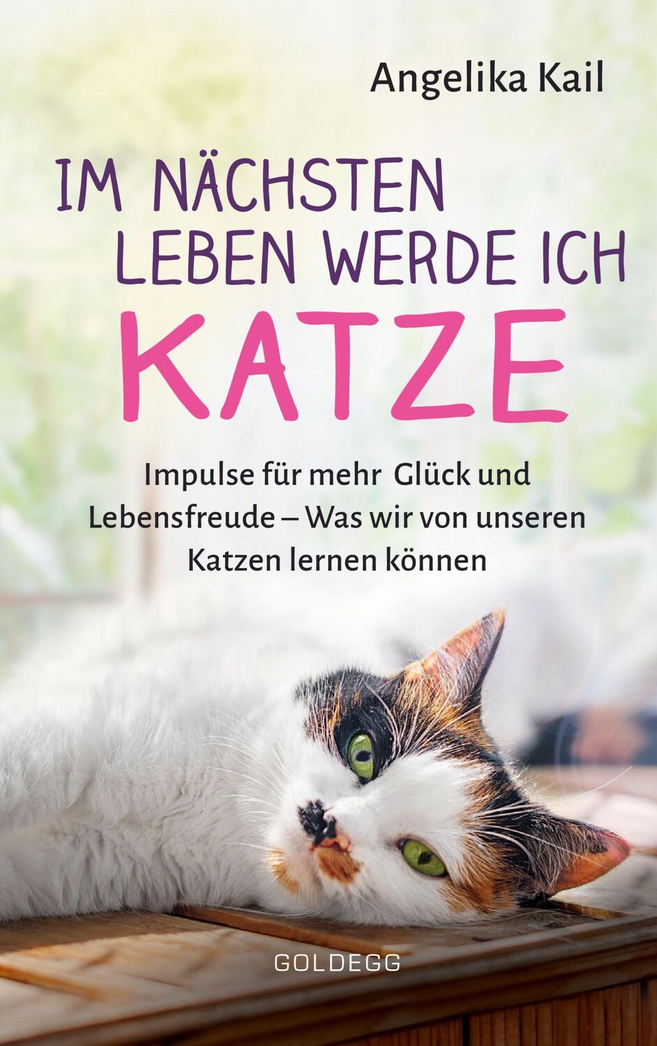 Cover: 9783990602126 | Im nächsten Leben werde ich Katze | Angelika Kail | Taschenbuch | 2021