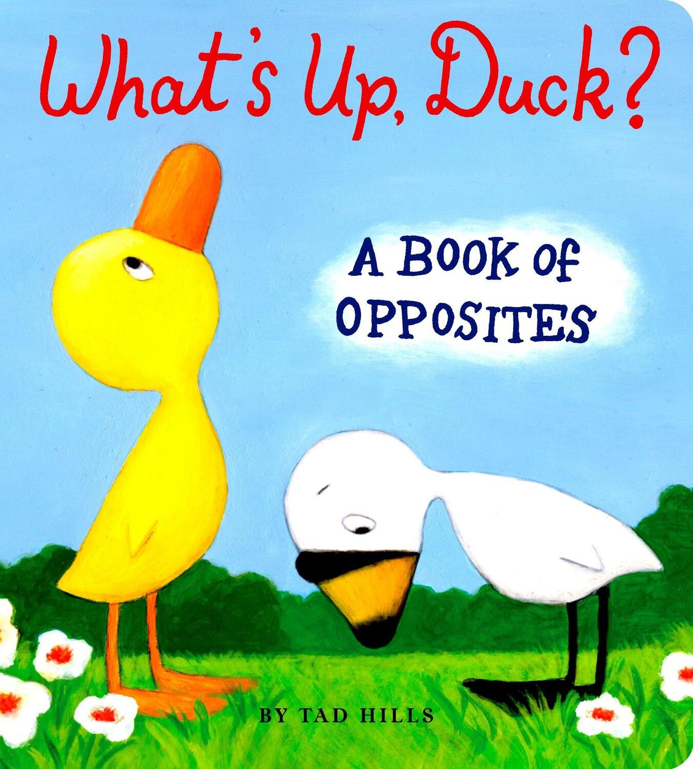 Cover: 9780375847387 | What's Up, Duck?: A Book of Opposites | Tad Hills | Buch | Englisch