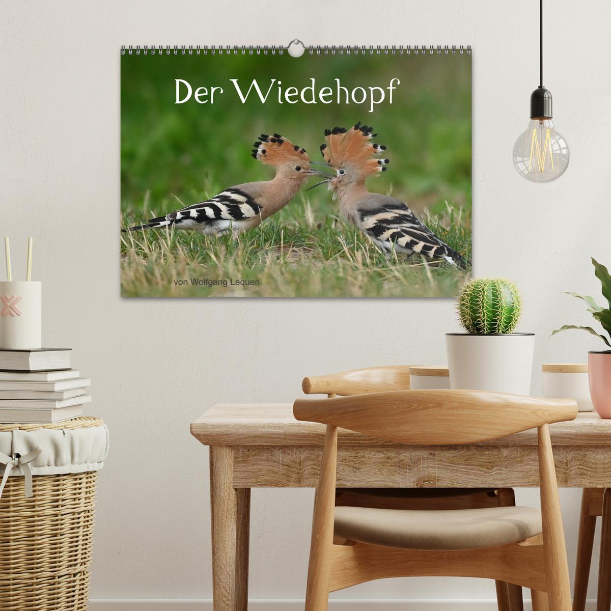 Bild: 9783435003273 | Der Wiedehopf (Wandkalender 2025 DIN A3 quer), CALVENDO Monatskalender