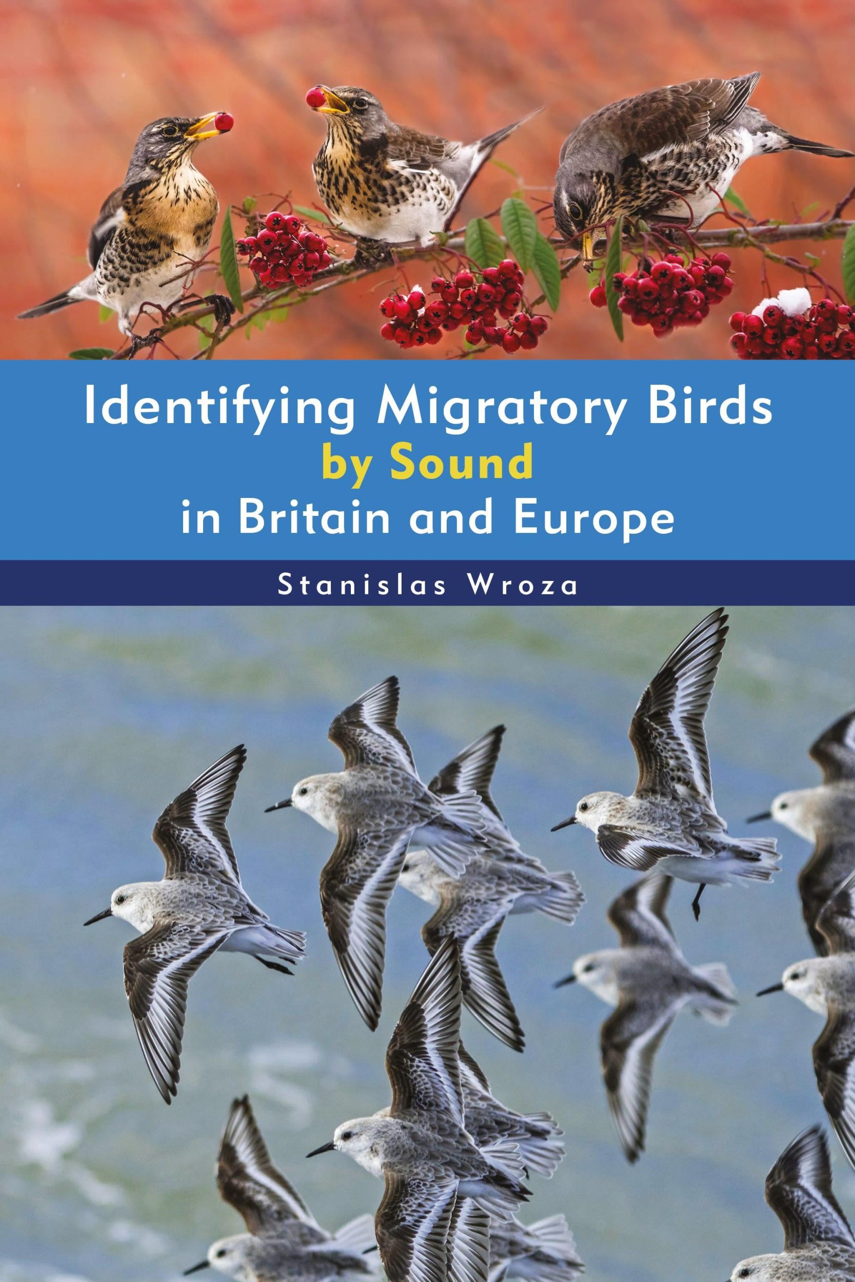 Cover: 9781399410069 | Identifying Migratory Birds by Sound in Britain and Europe | Wroza