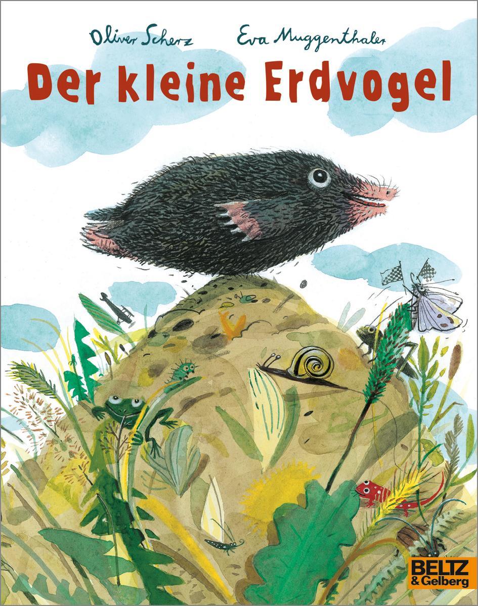 Cover: 9783407762399 | Der kleine Erdvogel | Vierfarbiges Bilderbuch | Oliver Scherz | Buch