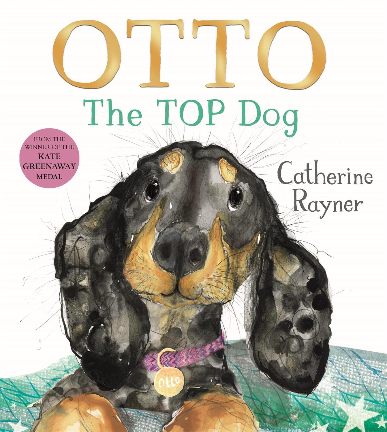 Cover: 9781035022045 | Otto | Catherine Rayner | Buch | Englisch | 2024 | Pan MacMillan