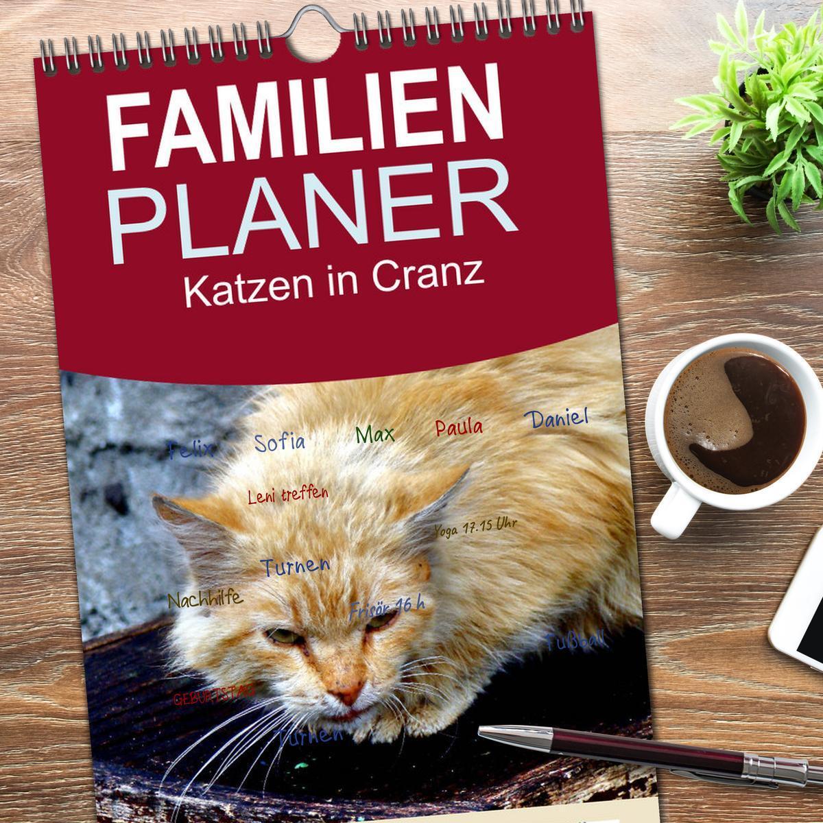 Bild: 9783457100899 | Familienplaner 2025 - Katzen in Cranz mit 5 Spalten (Wandkalender,...