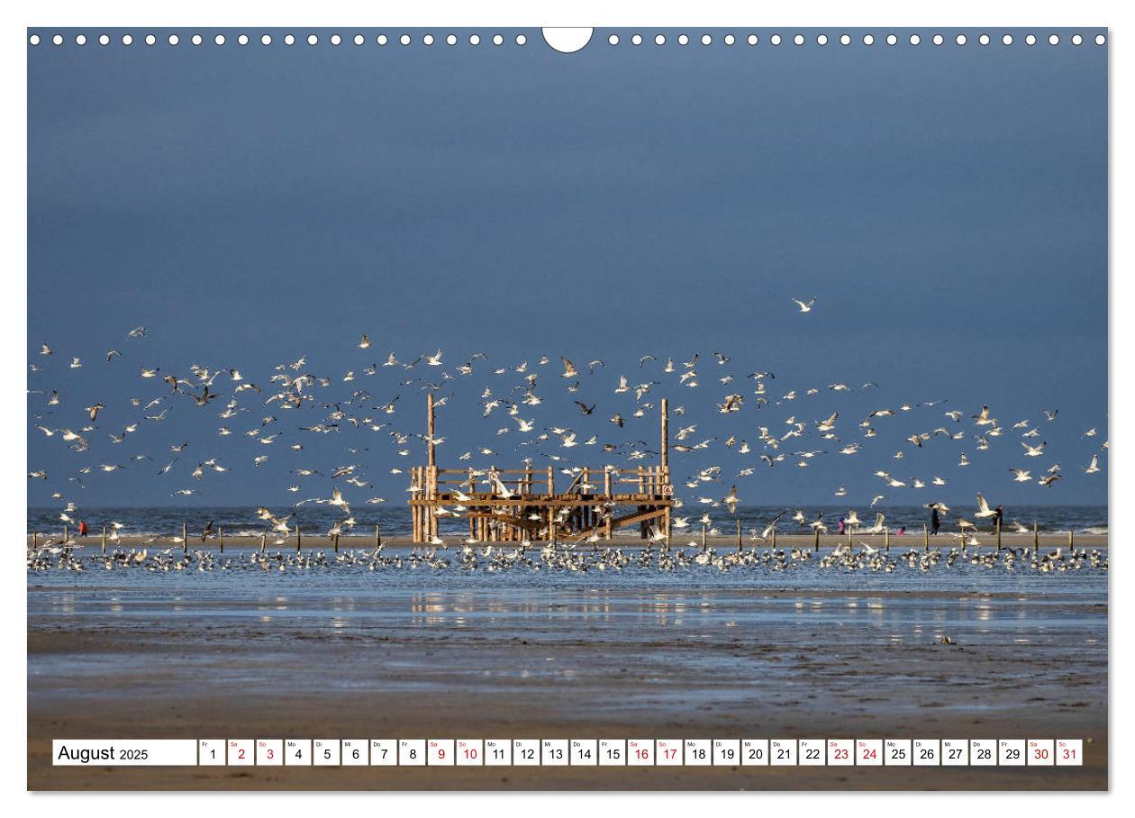 Bild: 9783435383658 | Impressionen aus Sankt Peter-Ording (Wandkalender 2025 DIN A3...